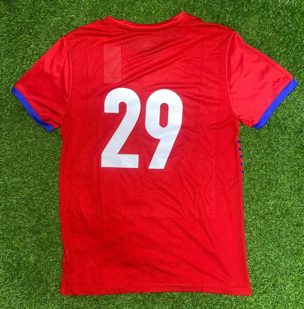 Red custom jersey, back with number 29